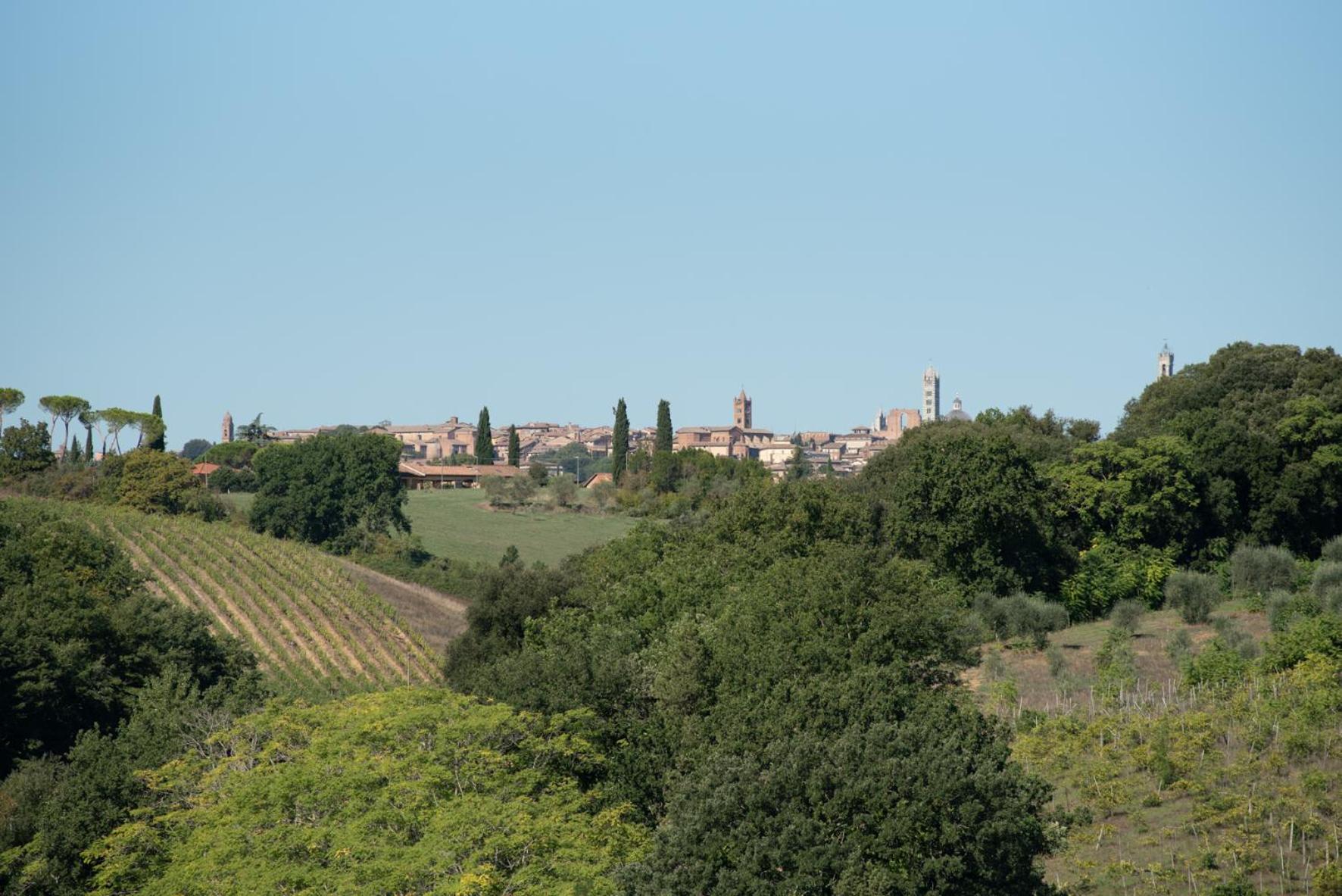 Agriturismo Il Colle Villa Siena Eksteriør billede